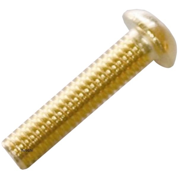 SUS304 六角穴付きボタンキャップボルト M6x15 P0.10 ステンレス 2個入り