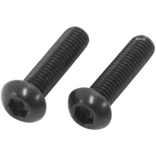 SUS304 六角穴付ボタンキャップボルト 汎用 M6x25 P1.00 黒 ステンレス 2本入り