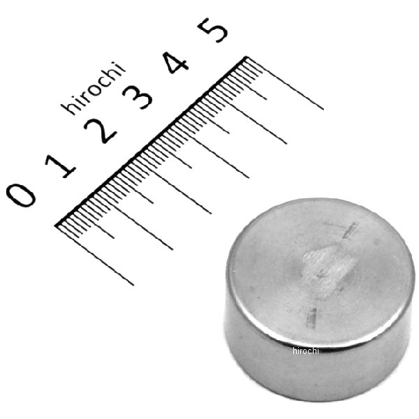 Piston 1.25 X.625 S/S Chr Cal