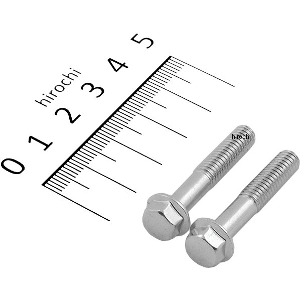 ホンダ純正タイプ フランジ六角ボルト ユニクロ M6x32 P1.0 2本入り