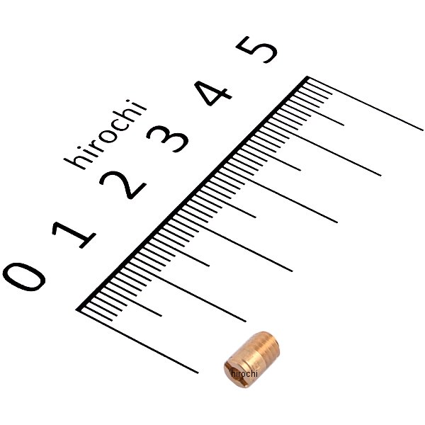 ミクニ メインジェット #100