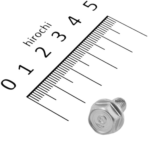 フランジボルト 6×10 95700-06010-00