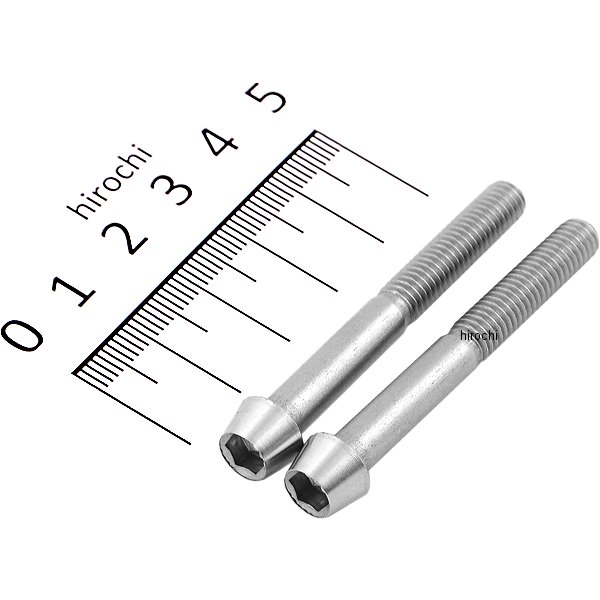テーパーキャップボルトセット 汎用 M6x50mm ステンレス 2本入り