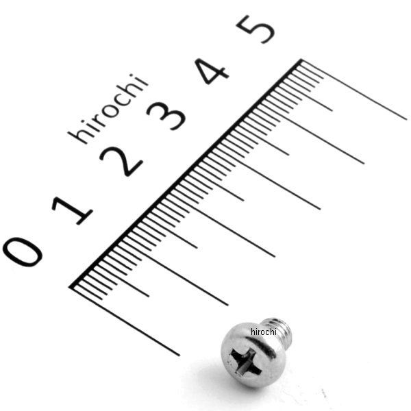 スクリュー パン 5×6 93500-05006-0A