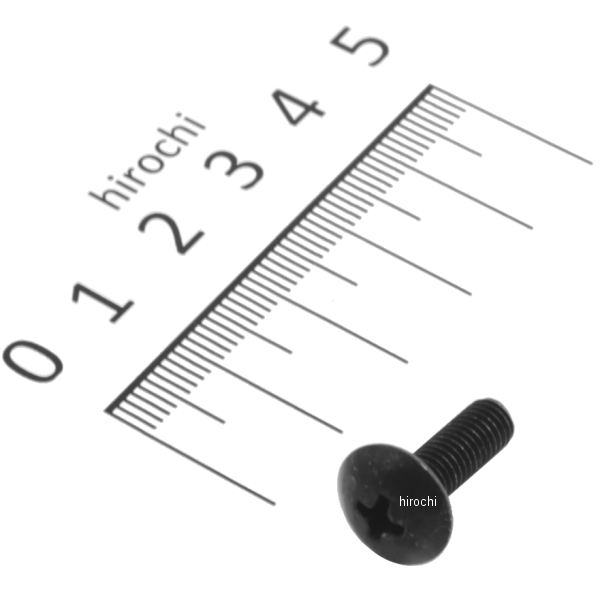 スクリュー トラス 5X16 90109-SB6-000