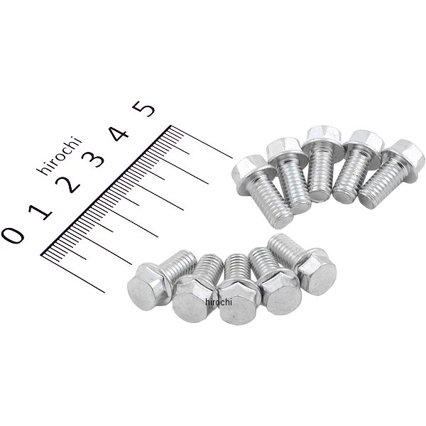 六角ヘッド フランジ ボルト M6 x 1.0 x 12 8mm (10個入り)