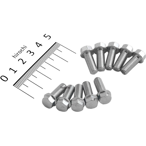 六角ヘッド フランジ ボルト M6 x 1.0 x 16 8mm (10個入り)