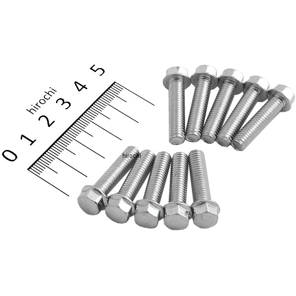 六角ヘッド フランジ ボルト M6 x 1.0 x 25 8mm (10個入り)