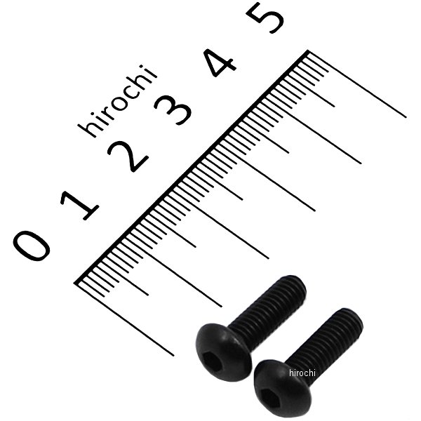 SUS304 六角穴付ボタンキャップボルト 汎用 M5x15 P0.80 黒 ステンレス 2本入り