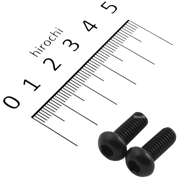 SUS304 六角穴付ボタンキャップボルト 汎用 M6x15 P1.00 黒 ステンレス 2本入り