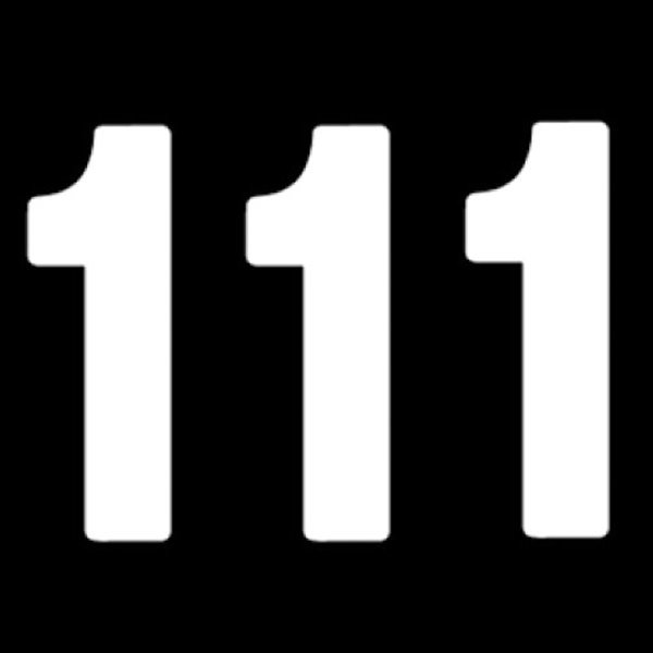 ナンバー ミニ PRO 4インチ(102mm) #1 白 (3枚入り)