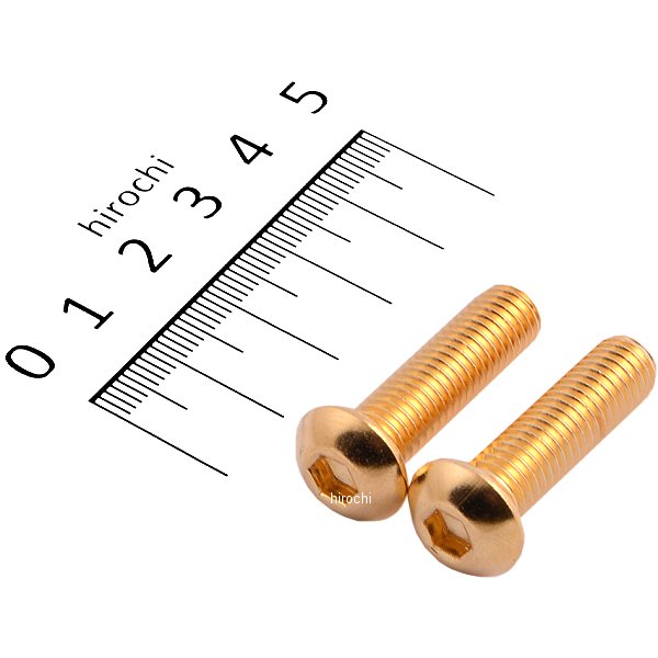 SUS304 六角穴付きボタンキャップボルト M8x30 P1.25 24Kメッキ