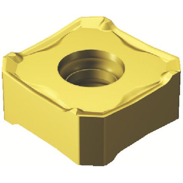 コロミル345チップ COAT 10個入り