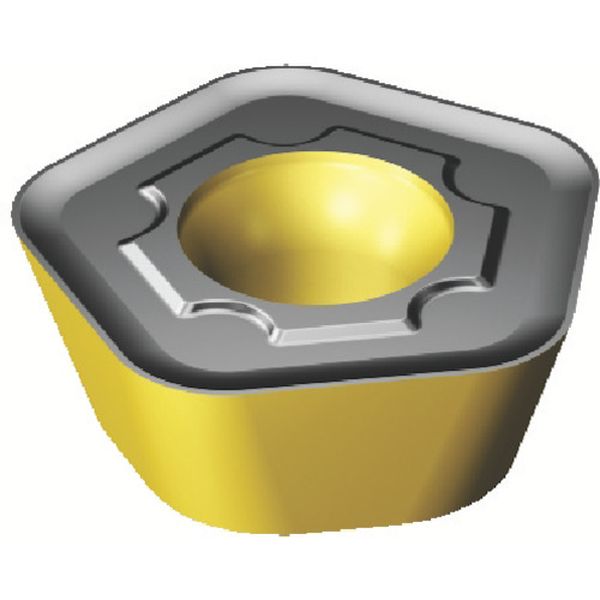 419N140530ESM   コロミル419用チップ COAT 10個入り