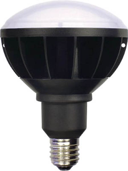 LED交換球 ハイスペックエコビック50W E39 本体黒 ワイド