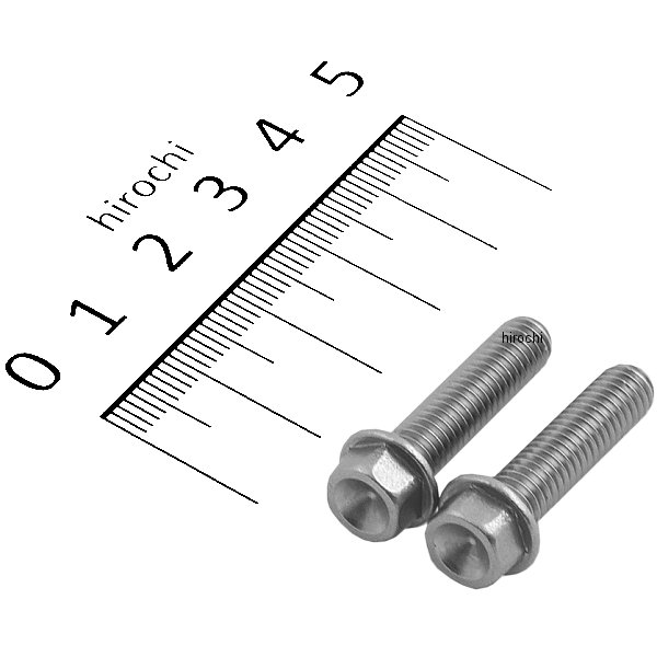 スモールフランジ六角ボルト ステンレス M6x25 P1.0 2本入り