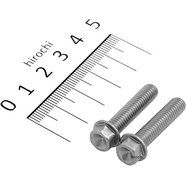 スモールフランジ六角ボルト ステンレス M6x28 P1.0 2本入り