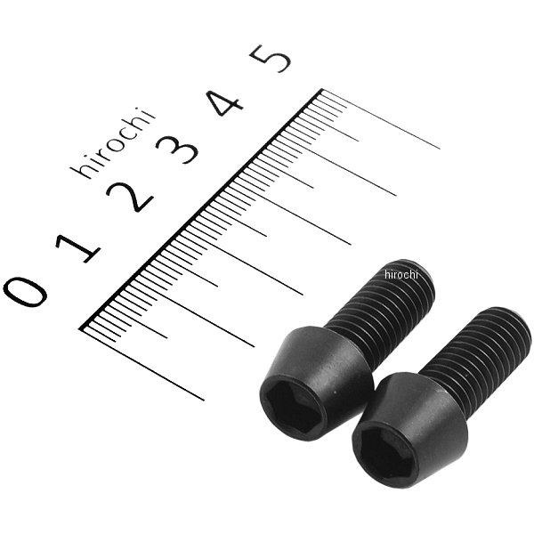 テーパーキャップボルトセット 汎用 M8x20mm P-1.25 ステンレス 2本入り 黒