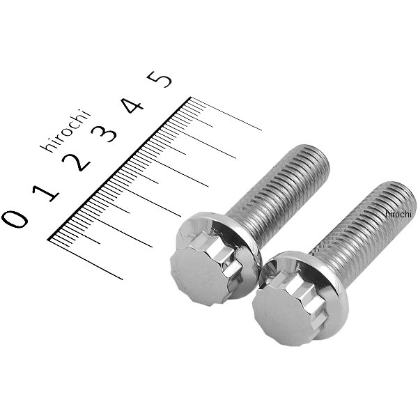 【セール特価】 ボルトキット フロントキャリパー 04年-13年 XL 12角