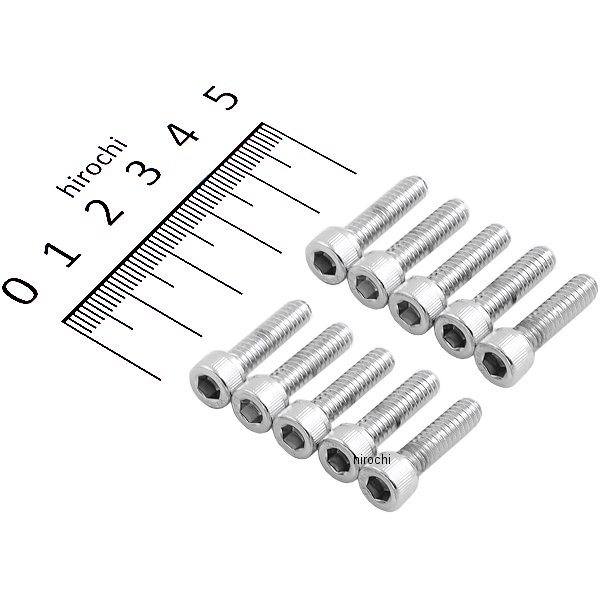 六角穴付きボタンボルト #10-24 x 3/4インチ(19mm) クローム/無地 (10個入り)