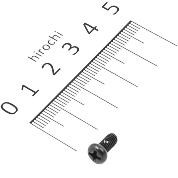 パンスクリュー 4X8 93500-040080G