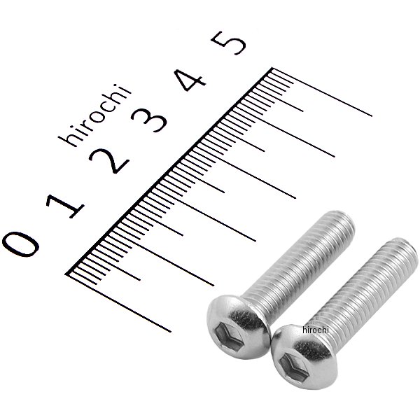 SUS304 六角穴付きボタンキャップボルト M6x25 P0.10 ステンレス 2個入り