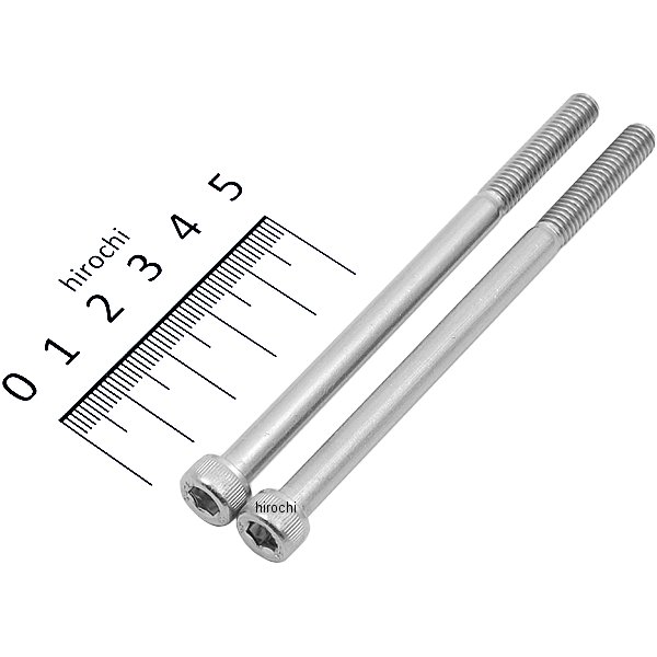 キャップボルトセット 汎用 M6x95mm ステンレス 2本入り