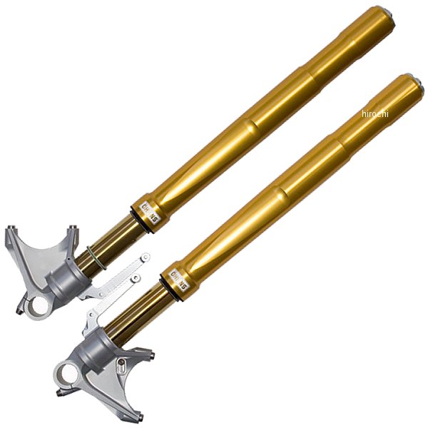 フロントフォーク 08年-14年 BMW S1000RR FG R&T NIX ゴールド