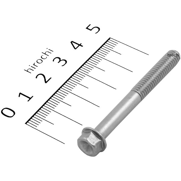 スモールフランジ六角ボルト ステンレス M6x50 P1.0 1本入り