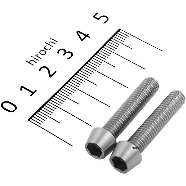 テーパーキャップボルトセット 汎用 M6x30mm ステンレス 2本入り