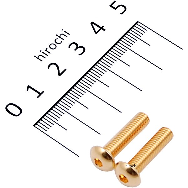 SUS304 六角穴付きボタンキャップボルト M5x20 P0.80 24Kメッキ