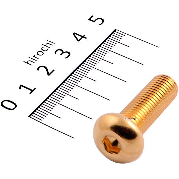 SUS304 六角穴付きボタンキャップボルト M10x30 P1.25 24Kメッキ