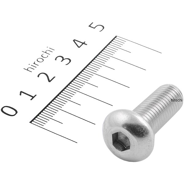 SUS304 六角穴付きボタンキャップボルト M10x25 P1.25 ステンレス 1個入り