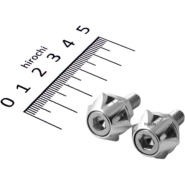 LG-SI  デコレーションライセンスボルト シルバー