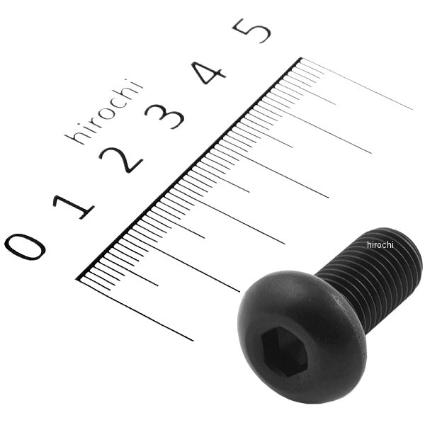 SUS304 六角穴付ボタンキャップボルト 汎用 M10x20 P1.25 黒 ステンレス 1本入り