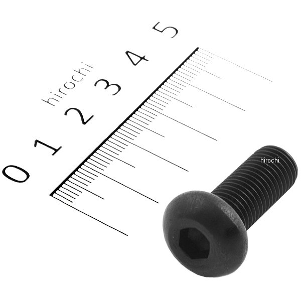 SUS304 六角穴付ボタンキャップボルト 汎用 M10x25 P1.25 黒 ステンレス 1本入り