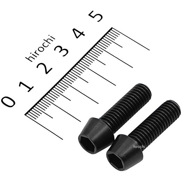 テーパーキャップボルトセット 汎用 M8x25mm P-1.25 ステンレス 2本入り 黒