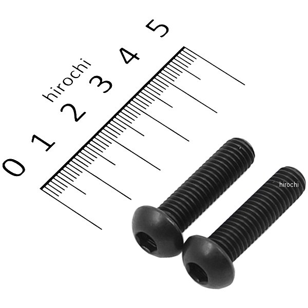 SUS304 六角穴付ボタンキャップボルト 汎用 M8x30 P1.25 黒 ステンレス 2本入り