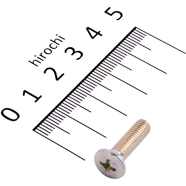 スクリュー オーバル 5X20 93700-05020-0A