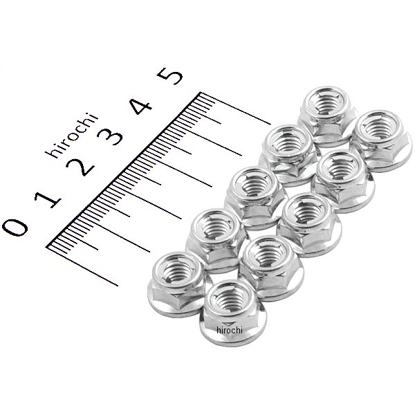 ロックナット フランジ フジ M6 (10個入り)