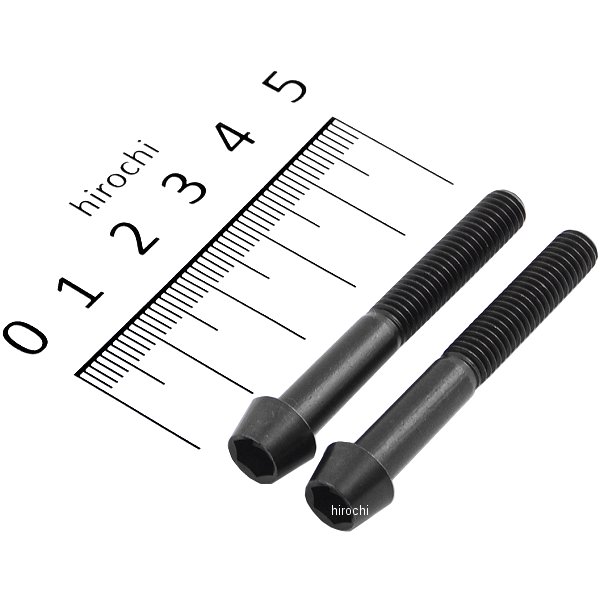 テーパーキャップボルトセット 汎用 M6x45mm P-1.0 ステンレス 2本入り 黒