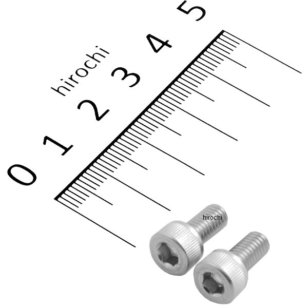 キャップボルトセット 汎用 M5x10mm ステンレス 2本入り