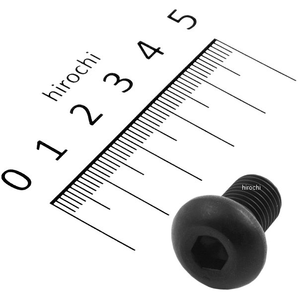 SUS304 六角穴付ボタンキャップボルト 汎用 M10x15 P1.25 黒 ステンレス 1本入り