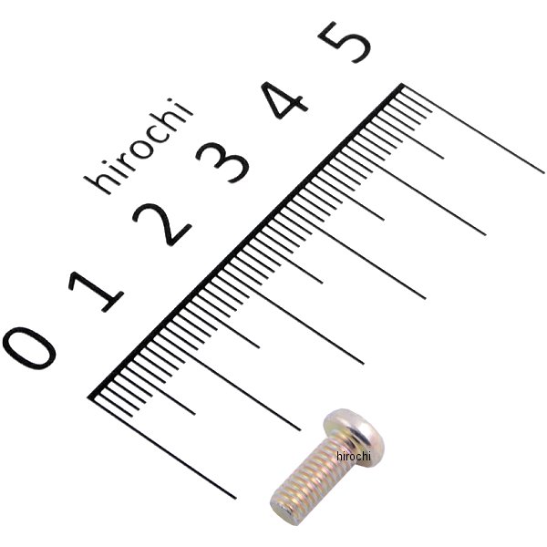 パンスクリュー 4X10 93500-040100A