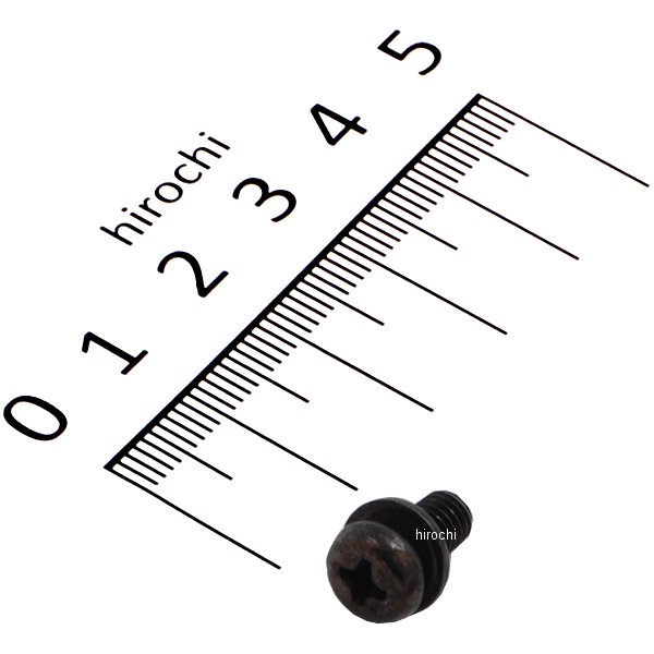 スクリューワッシャー 5×10 93891-05010-07