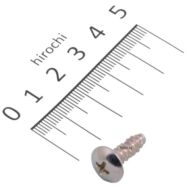 スクリュー タッピング 5×16 93913-25420