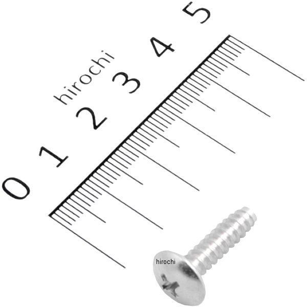 タッピングスクリュー トラス頭 スズキ用 5mm×20mm シルバー