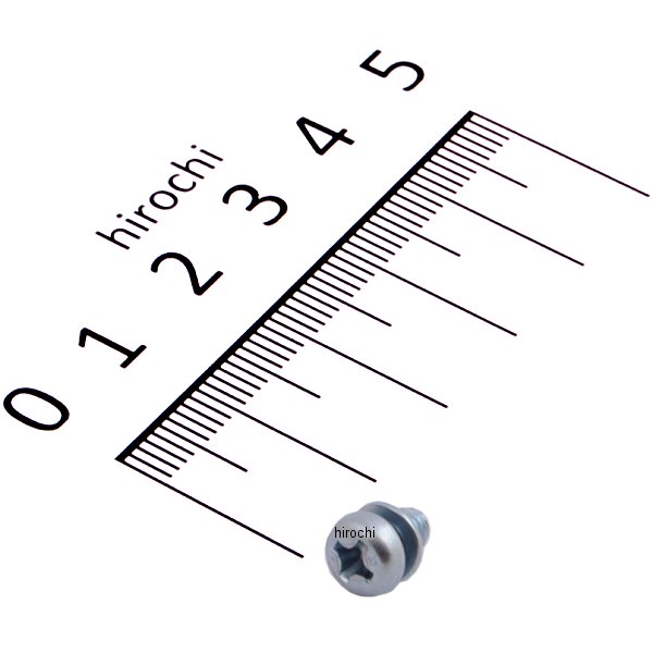 スクリューワッシャー 4×6 93892-04006-08