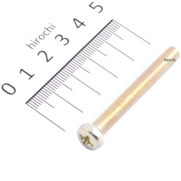 パンスクリュー 6×48 93500-06048