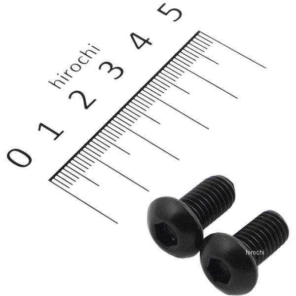 SUS304 六角穴付ボタンキャップボルト 汎用 M8x15 P1.25 黒 ステンレス 2本入り